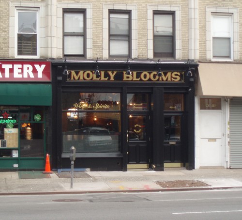 Molly-Blooms-Sunnyside-500x4543