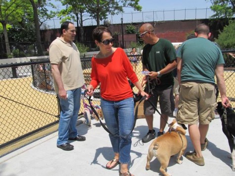Sam (far left) at Lou Lodati Park dog run shortly after it opened