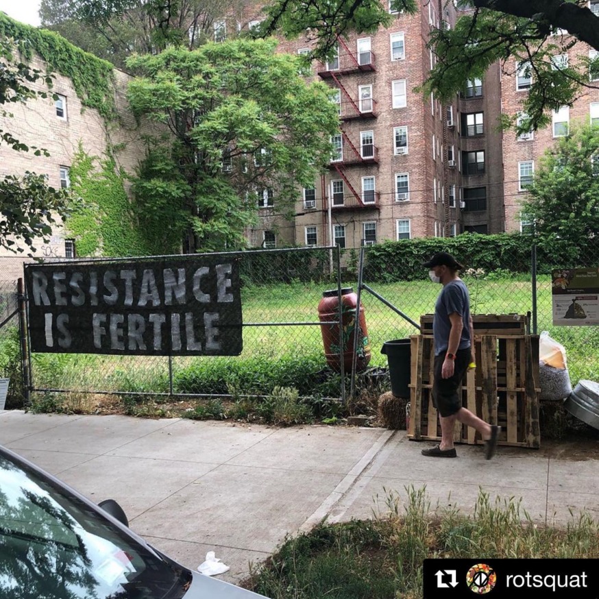 Guerrilla' Garden and Compost Site Springs Up in Sunnyside